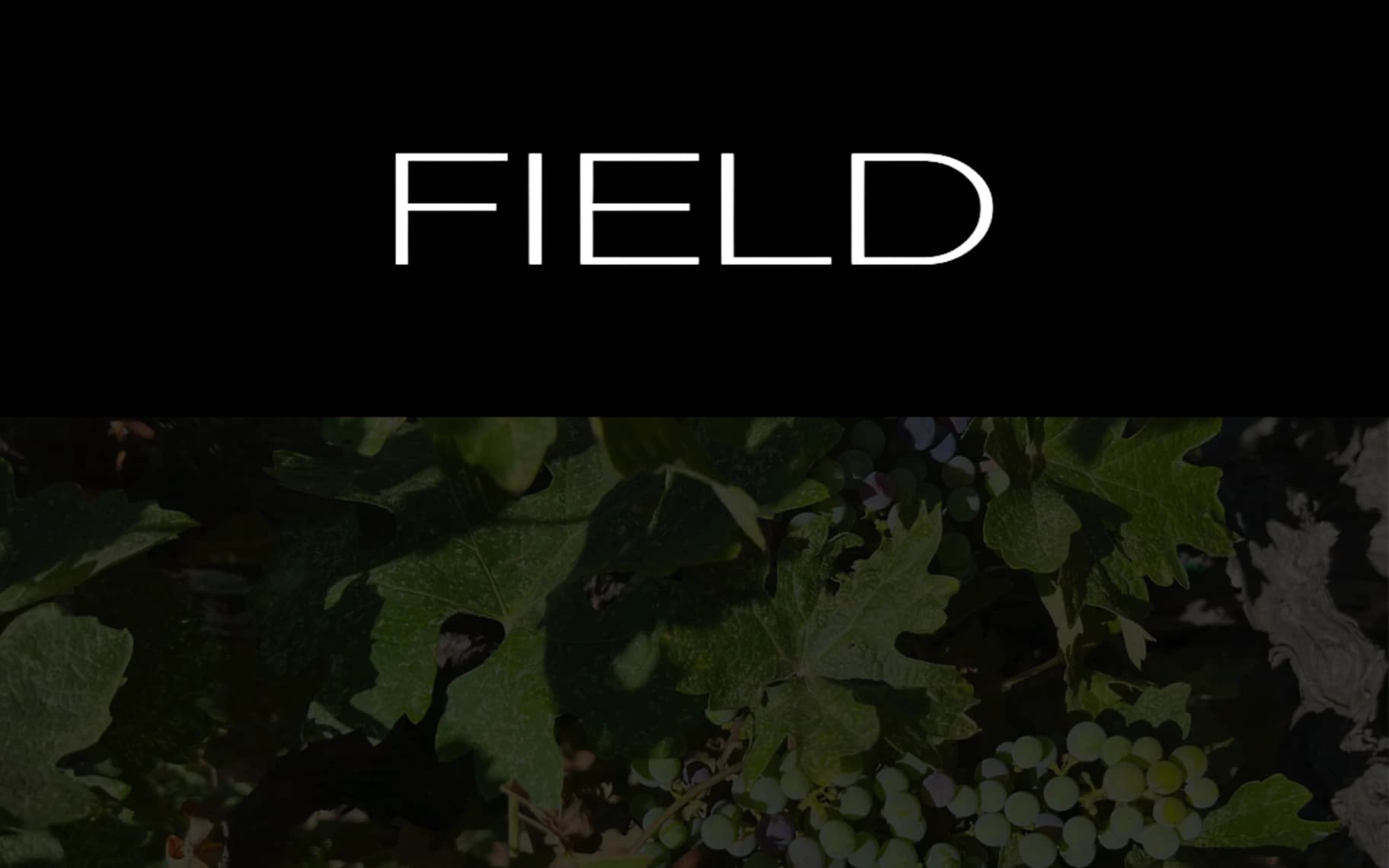 Field Wines